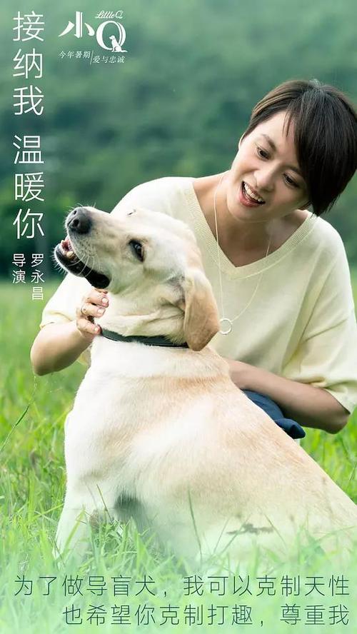 办公共营养师证